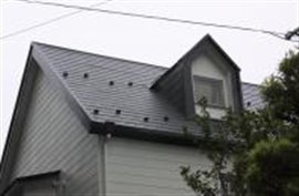 屋根に雪止めとドーマが付いている